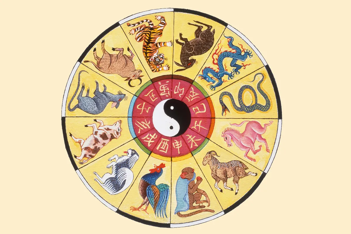 每日生肖運勢怎麼看？十二生肖今日運勢查詢方法與解讀指南